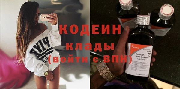 стаф Елизово