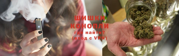 стаф Елизово