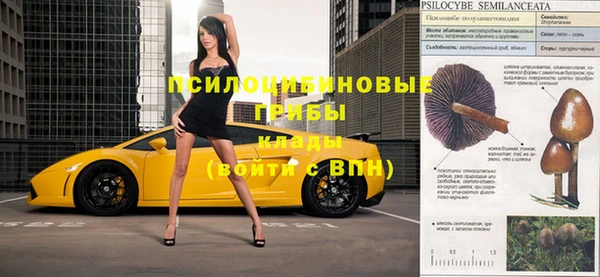 spice Елабуга