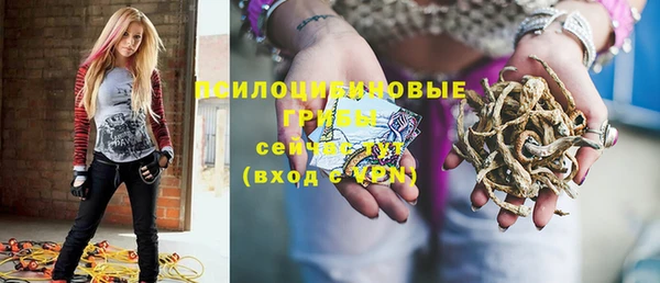 стаф Елизово