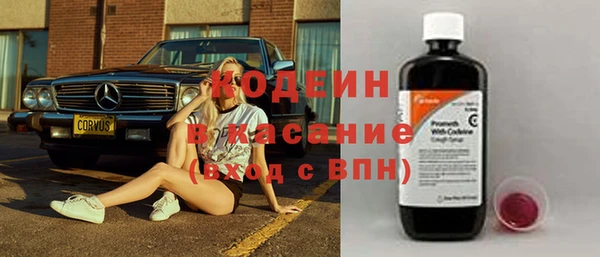 стаф Елизово