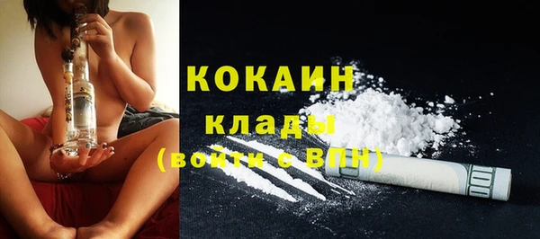 стаф Елизово