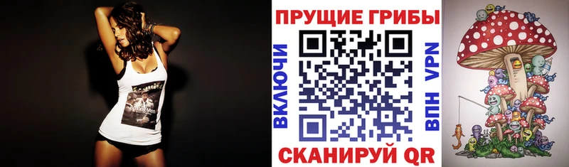 Псилоцибиновые грибы мицелий  Купить где  Нягань 